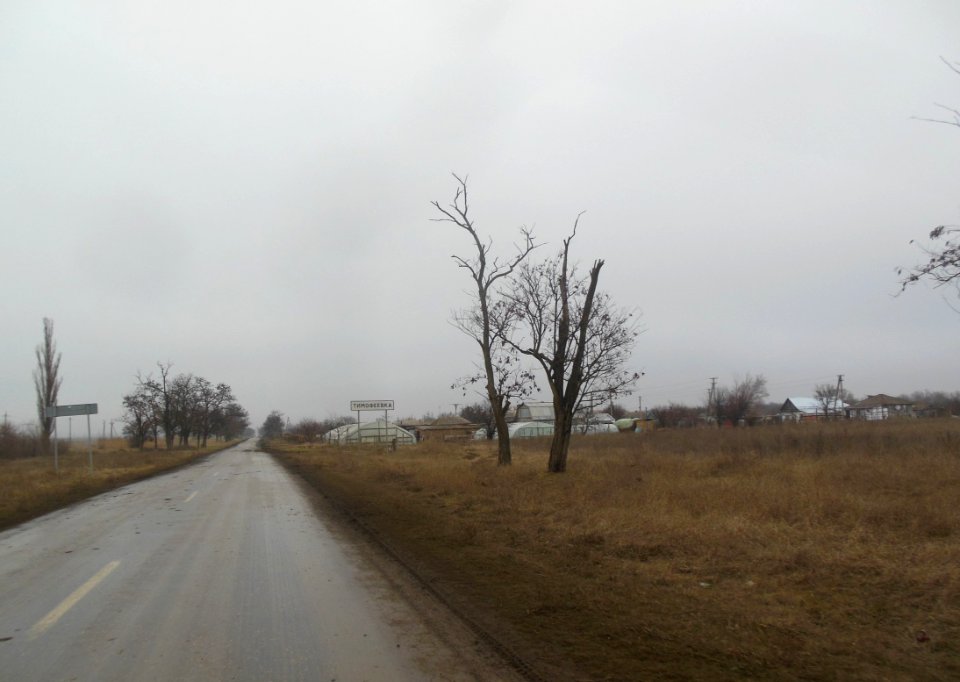 TimofeevkaCr 1