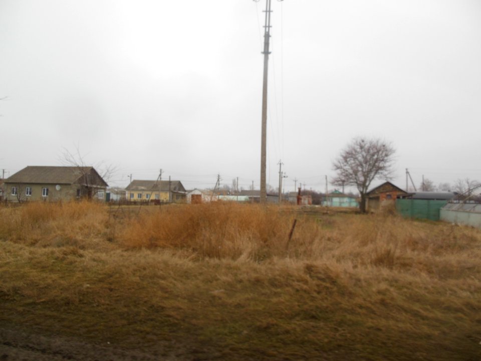 TimofeevkaCr 12