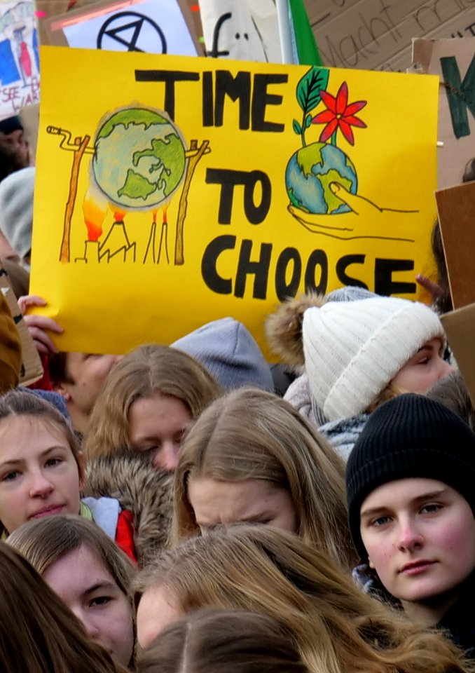 Time to choose, Berlin, 25.01.2019 (cropped)