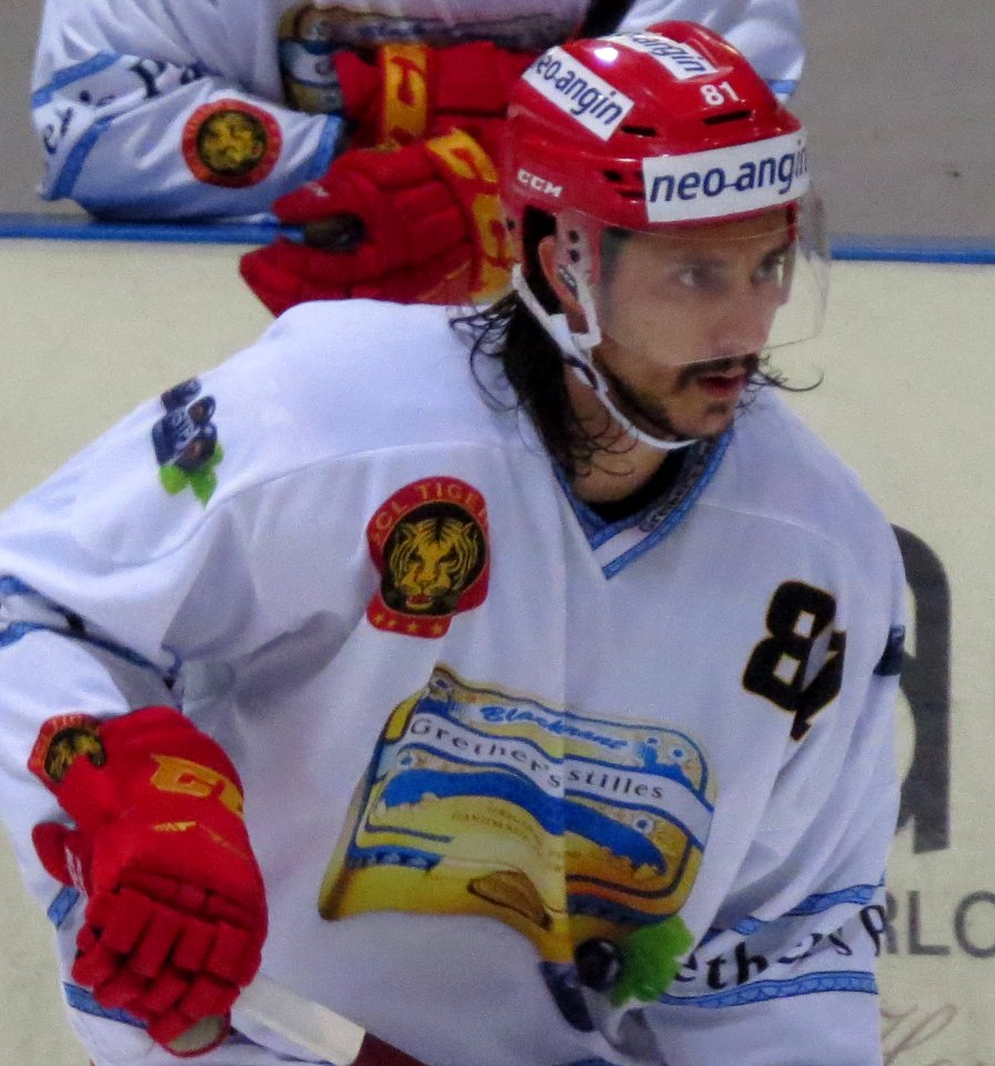 Tigers de Langnau - Nitra, 11 août 2017 - 112 (Philippe Seydoux)