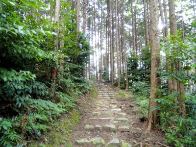 Tokai Natural Footpath - Homyoin Temple - Otsu, Shiga - DSC07565