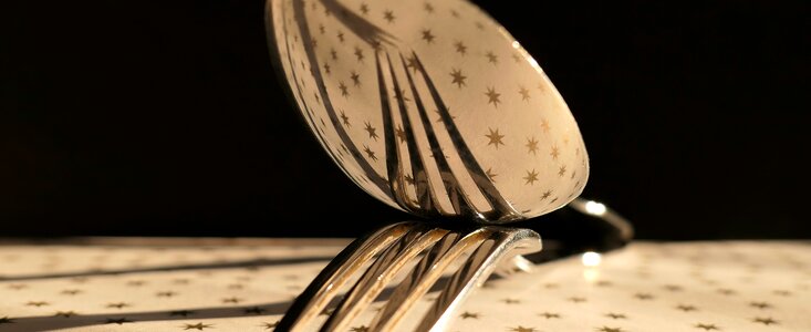 Silver cover tableware photo