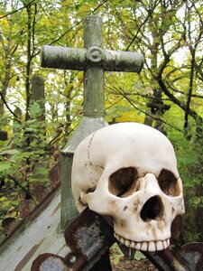 Weird bone horror