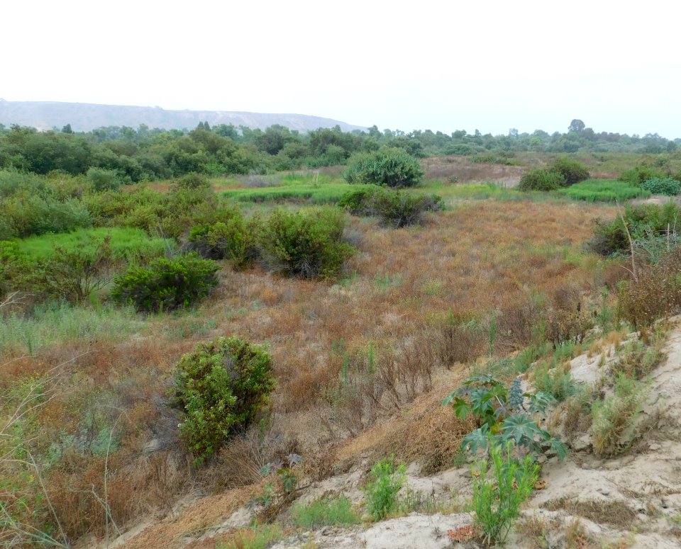 Tijuana river valley sdcounty