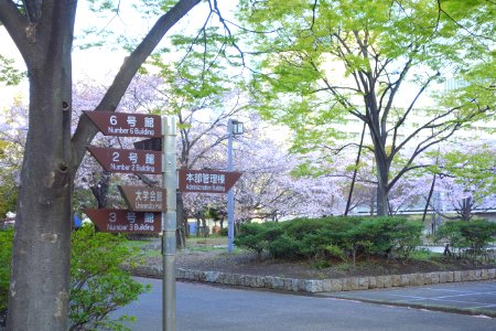 Tokyo University of Marine Science and Technology - DSC00873