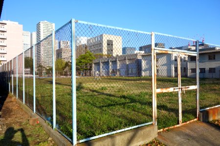 Tokyo University of Marine Science and Technology - DSC00856