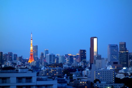 Tokyo Tower at night - DSC00818 photo