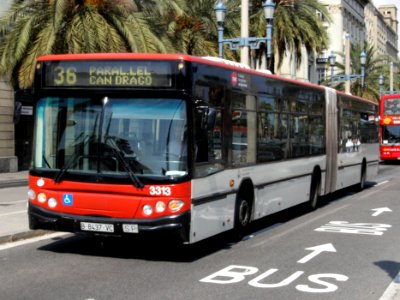 TMB harmonica bus (unknown type)