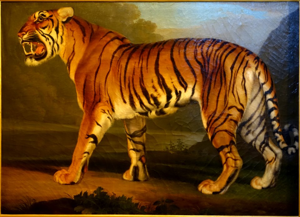Tiger roaring, by Wenzel Peter, oil on canvas, inv. 41260 - Pinacoteca Vaticana - Vatican Museums - DSC01219