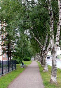 Toivoniemi Walkway Oulu 20120719