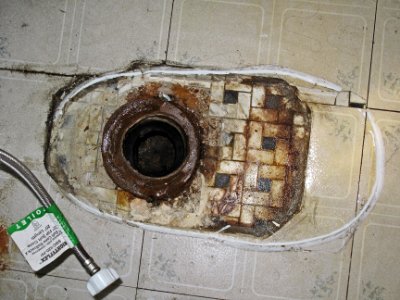 Toilet drain photo