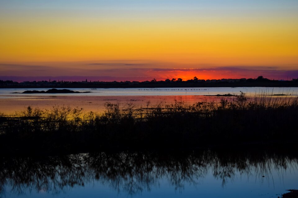 Migratory birds twilight sunset colors