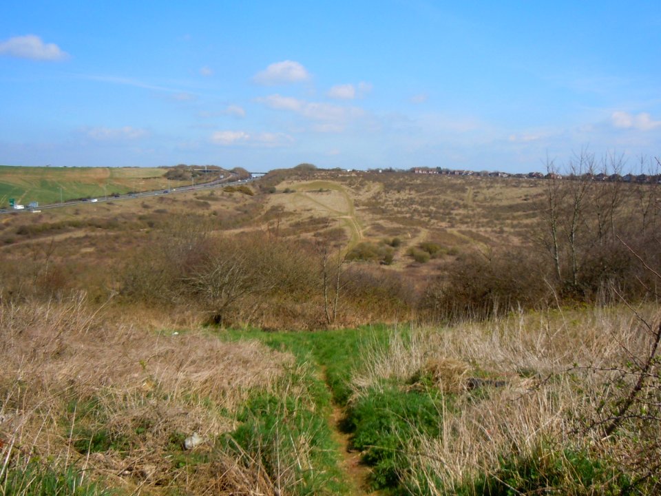 Toads Hole Valley, Hove (April 2015) (4)