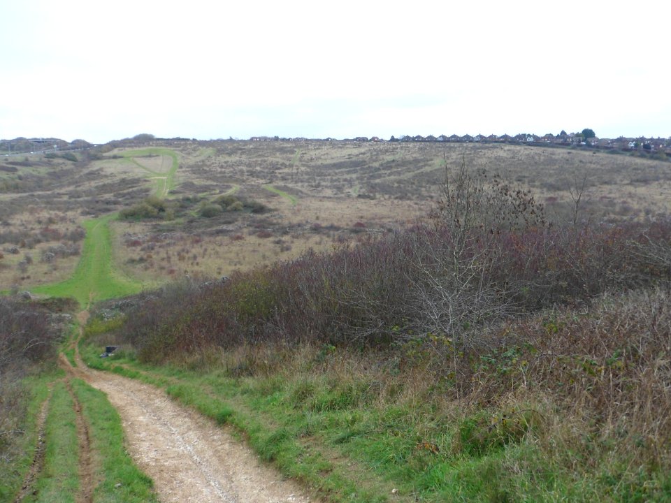 Toads Hole Valley, Hove (November 2013) (30)