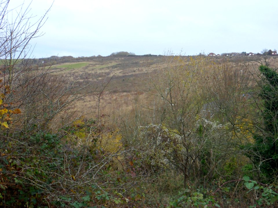 Toads Hole Valley, Hove (November 2013) (3)