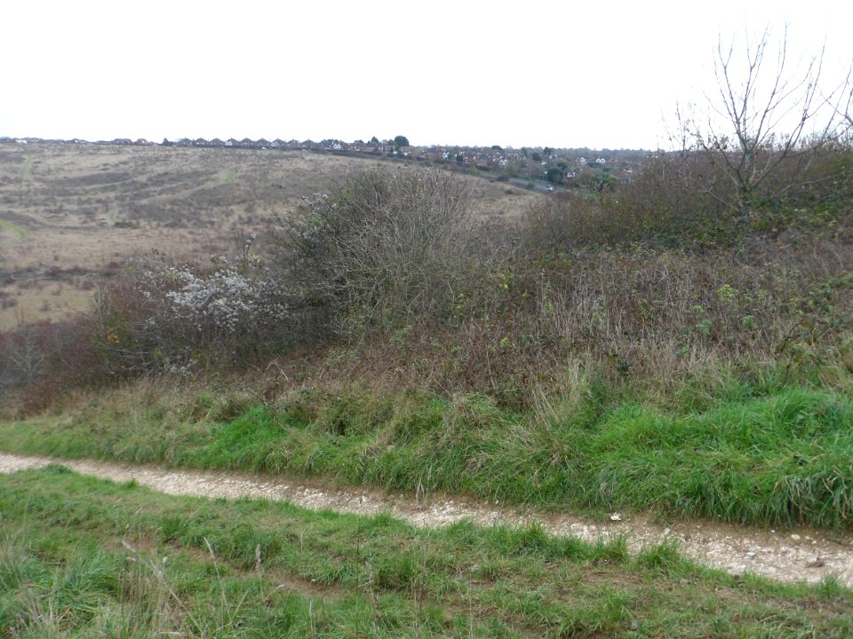 Toads Hole Valley, Hove (November 2013) (28)