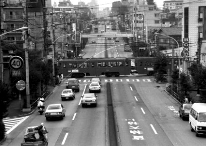 Tokyu 80 crossing Wakabayashi cross road2