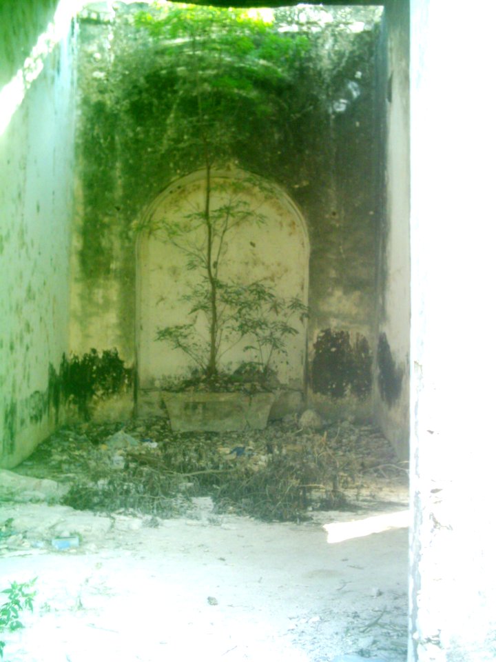 Tixcuytún (Mérida), Yucatán (07)