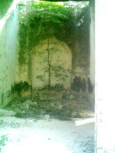 Tixcuytún (Mérida), Yucatán (07)