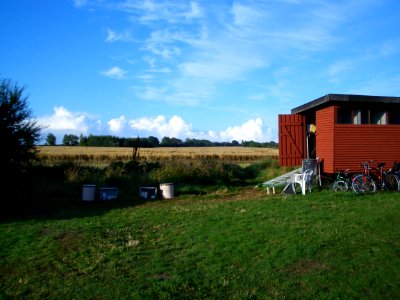 Toilet with bicycles
