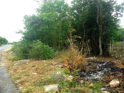 Tixpéhual, Yucatán (05)