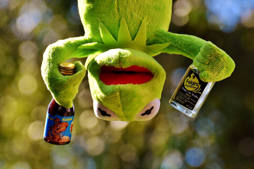 Hang out alcohol drunk