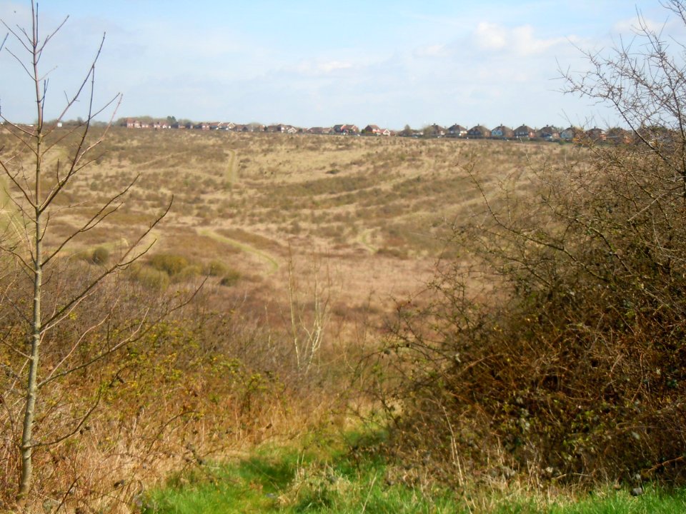 Toads Hole Valley, Hove (April 2015) (5)