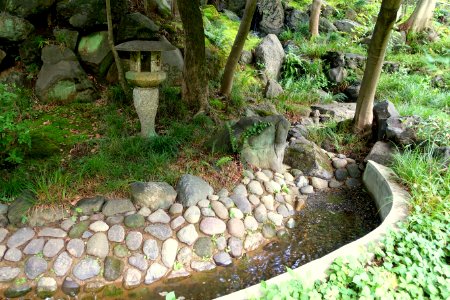 Todoroki Japanese Gardens - Tokyo, Japan - DSC09521