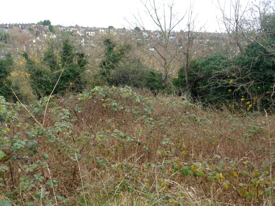 Toads Hole Valley, Hove (November 2013) (4)
