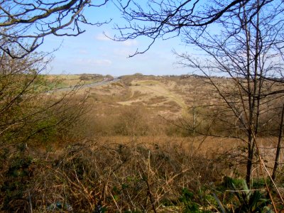 Toads Hole Valley, Hove (April 2015) (1)