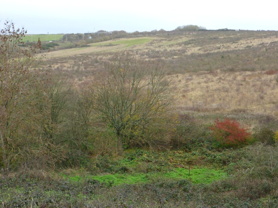 Toads Hole Valley, Hove (November 2013) (10)