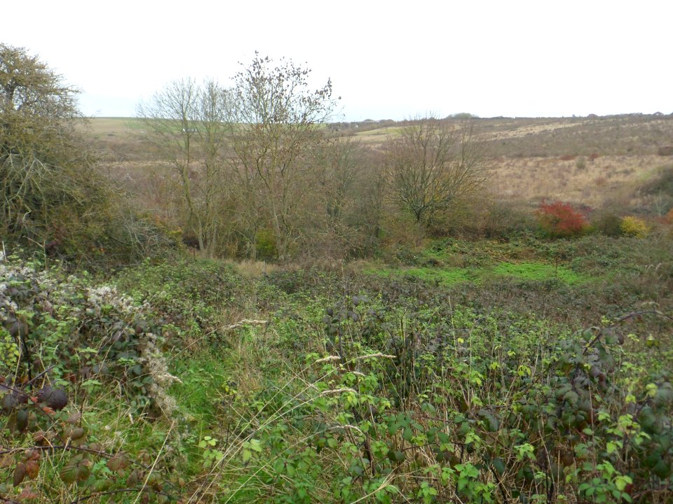 Toads Hole Valley, Hove (November 2013) (11)