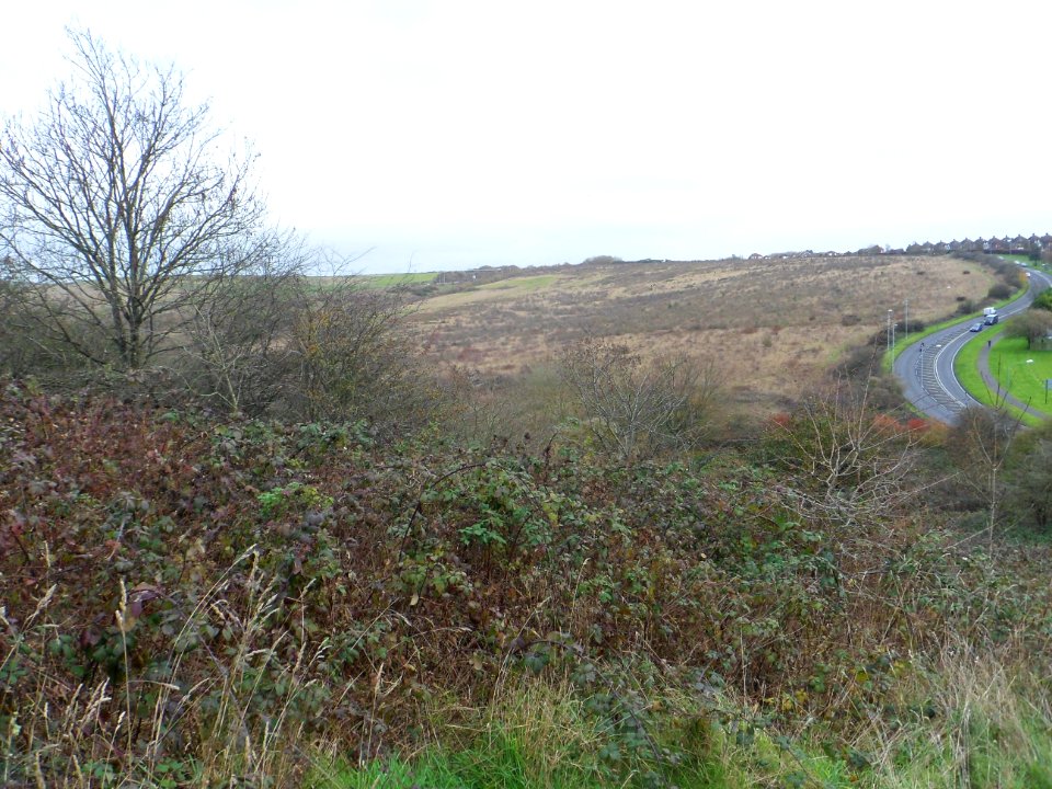 Toads Hole Valley, Hove (November 2013) (19)