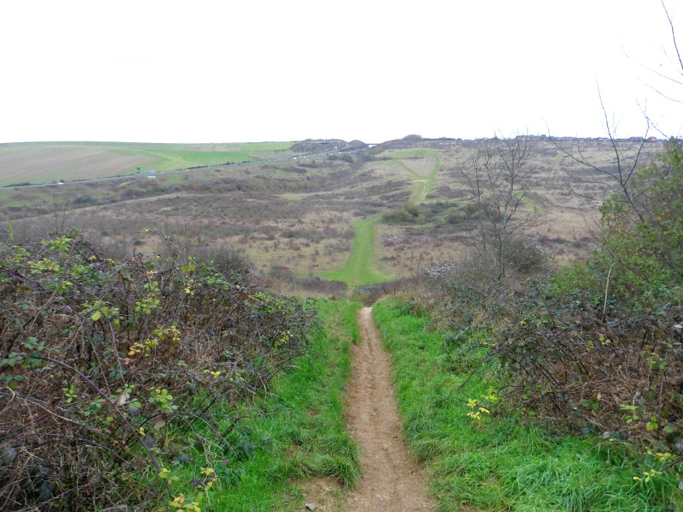 Toads Hole Valley, Hove (November 2013) (26)
