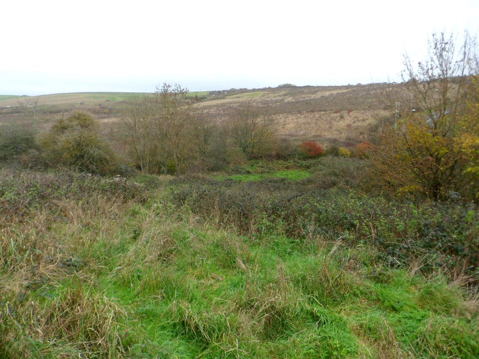 Toads Hole Valley, Hove (November 2013) (9)