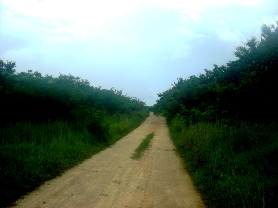 Tixkokob, Yucatán (12)
