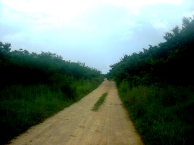 Tixkokob, Yucatán (12)