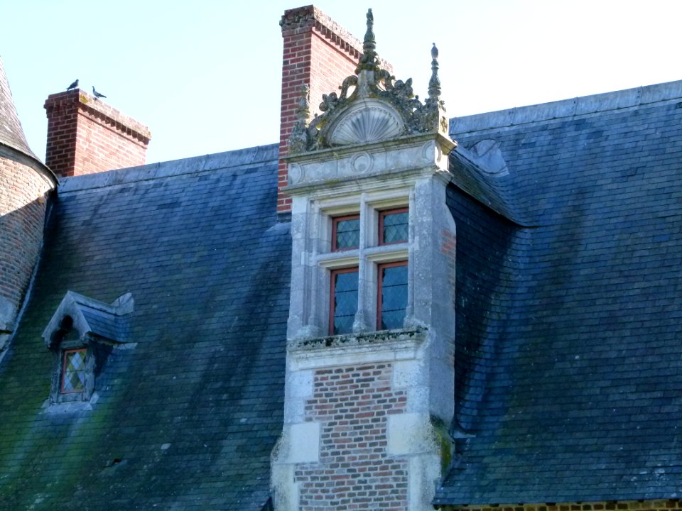 Toitures du château du Moulin 3