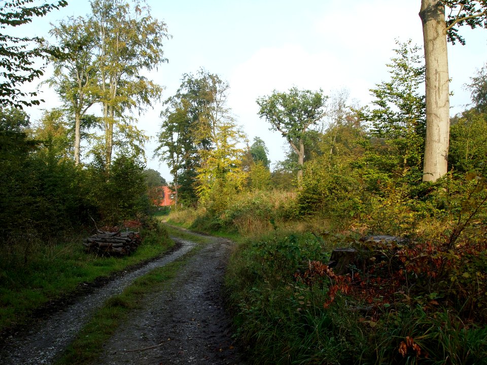 Todtenrode Boeser Kleef (9)