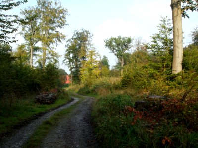 Todtenrode Boeser Kleef (9)