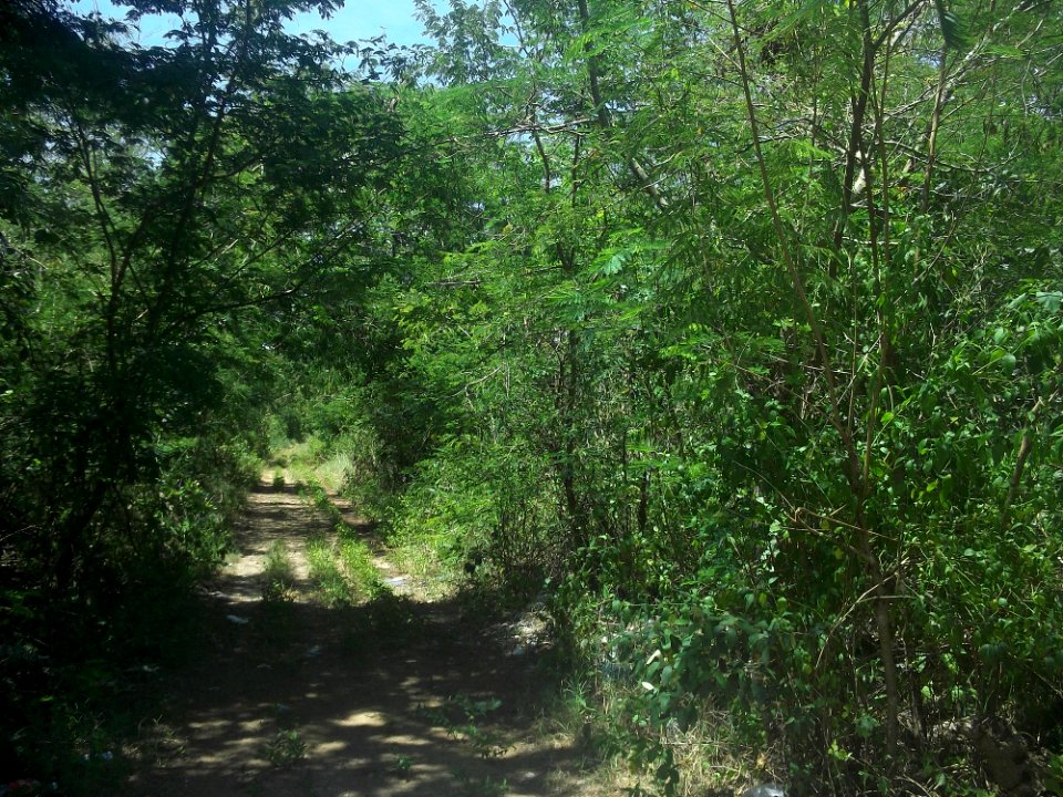 Tixkokob, Yucatán (16)