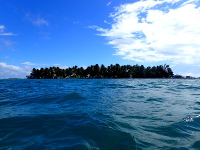 Tobacco Caye 2019
