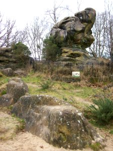 Toad Rock, Rusthall Common