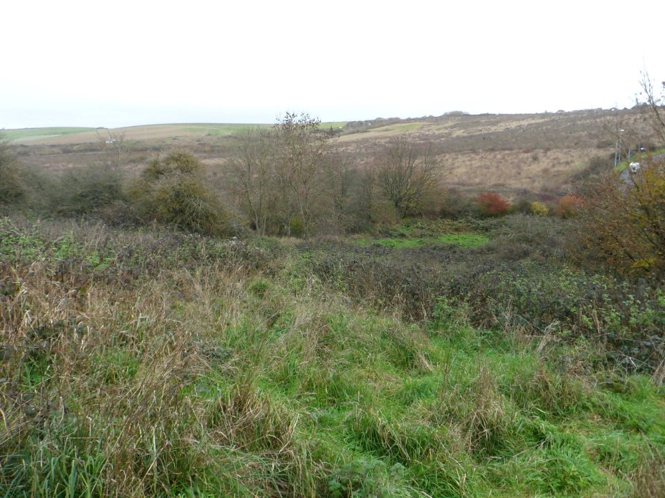 Toads Hole Valley, Hove (November 2013) (18)