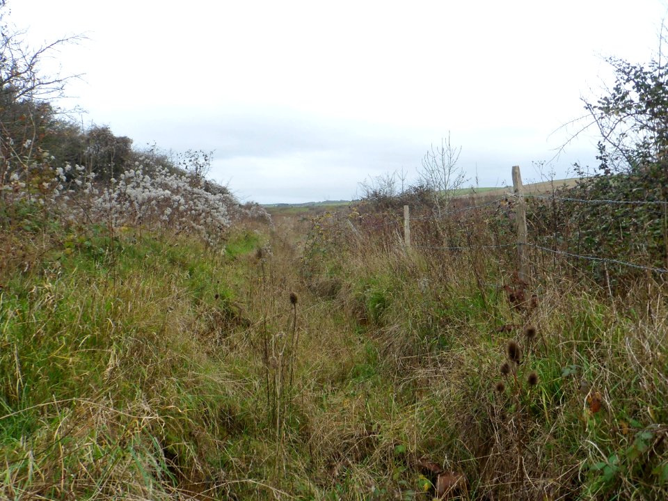 Toads Hole Valley, Hove (November 2013) (15)