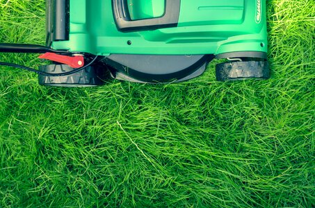 Green lawn lawn mower photo