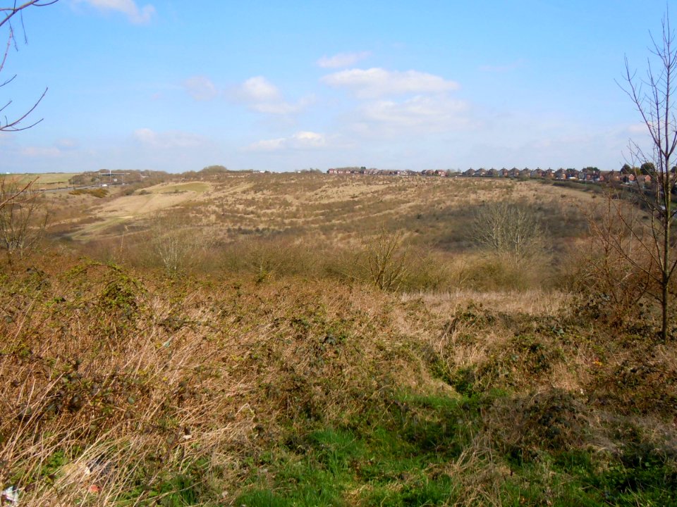 Toads Hole Valley, Hove (April 2015) (6)