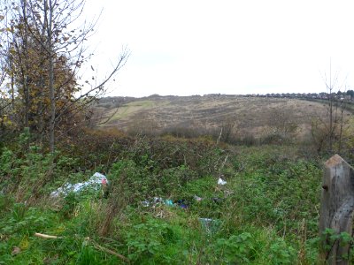 Toads Hole Valley, Hove (November 2013) (23)