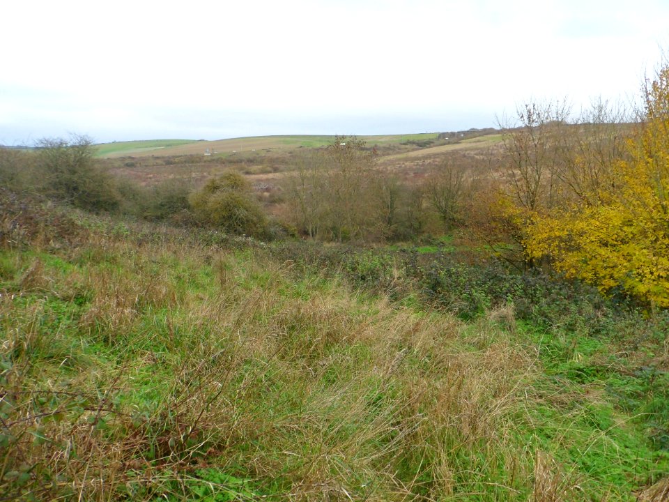 Toads Hole Valley, Hove (November 2013) (8)