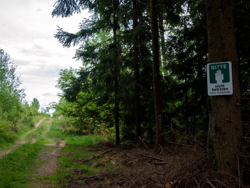 Todtenrode Ruhezone